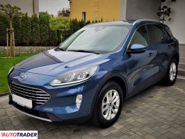 Ford Kuga - zobacz ofertę