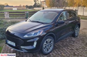 Ford Kuga - zobacz ofertę