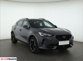 Cupra  - zobacz ofertę