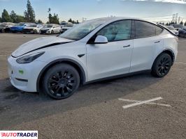 Tesla Model Y - zobacz ofertę
