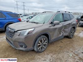 Subaru Forester - zobacz ofertę