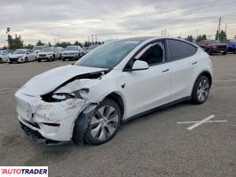 Tesla Model Y - zobacz ofertę