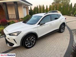 Cupra  - zobacz ofertę