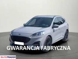 Ford Kuga - zobacz ofertę