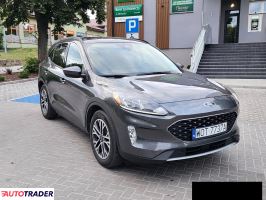 Ford Escape - zobacz ofertę