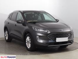 Ford Kuga - zobacz ofertę