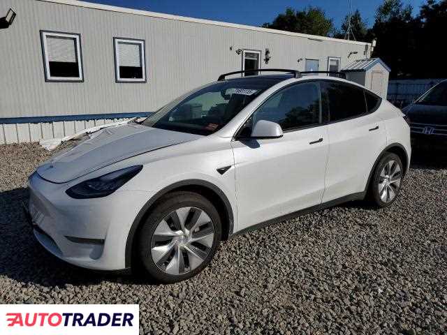 Tesla Model Y 2021