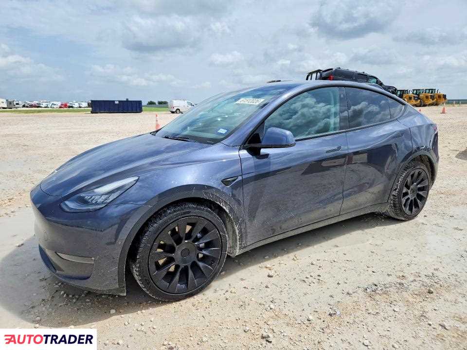 Tesla Model Y 2021