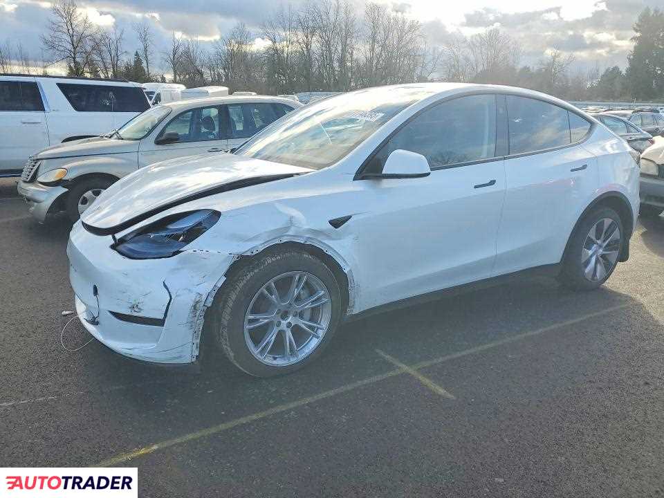 Tesla Model Y 2024