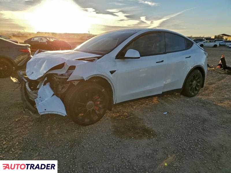 Tesla Model Y 2021