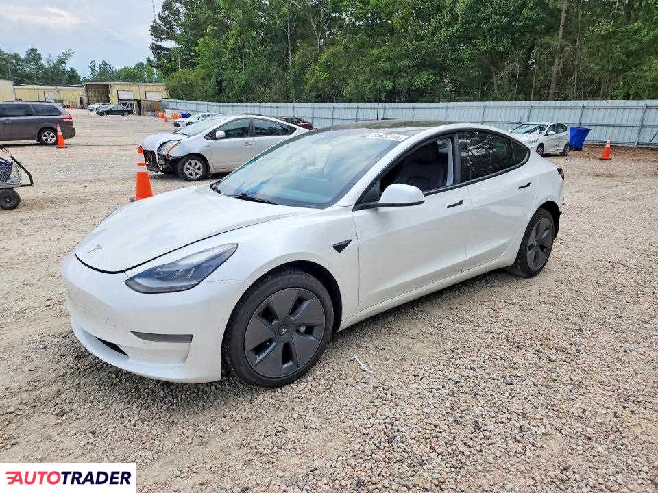 Tesla Model 3 2021