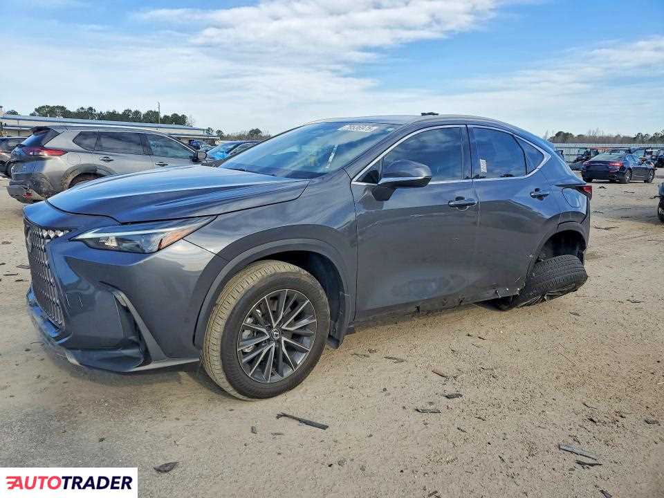 Lexus NX 2024 2