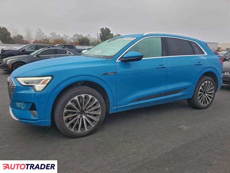 Audi E-tron 2019
