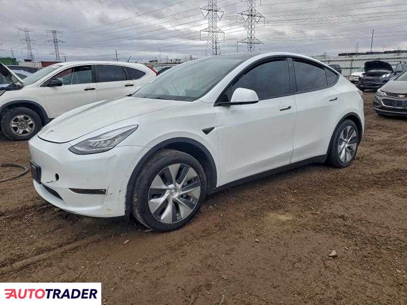 Tesla Model Y 2021
