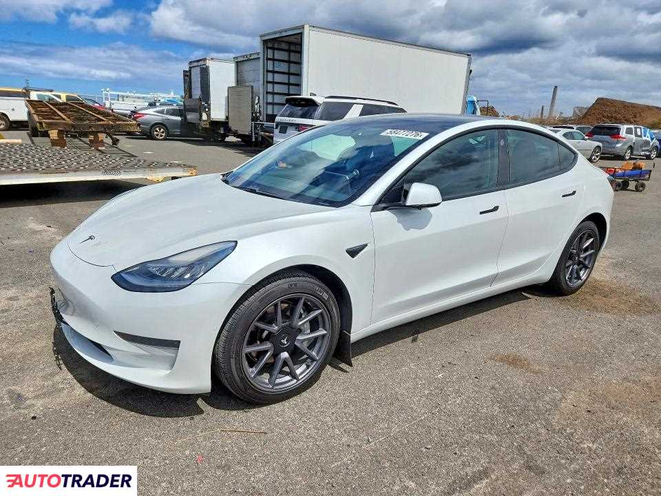 Tesla Model 3 2021