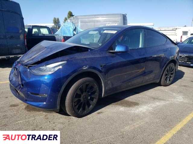 Tesla Model Y benzyna 2021r. (HAYWARD)