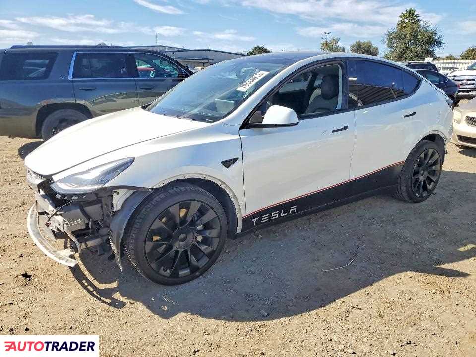 Tesla Model Y 2020