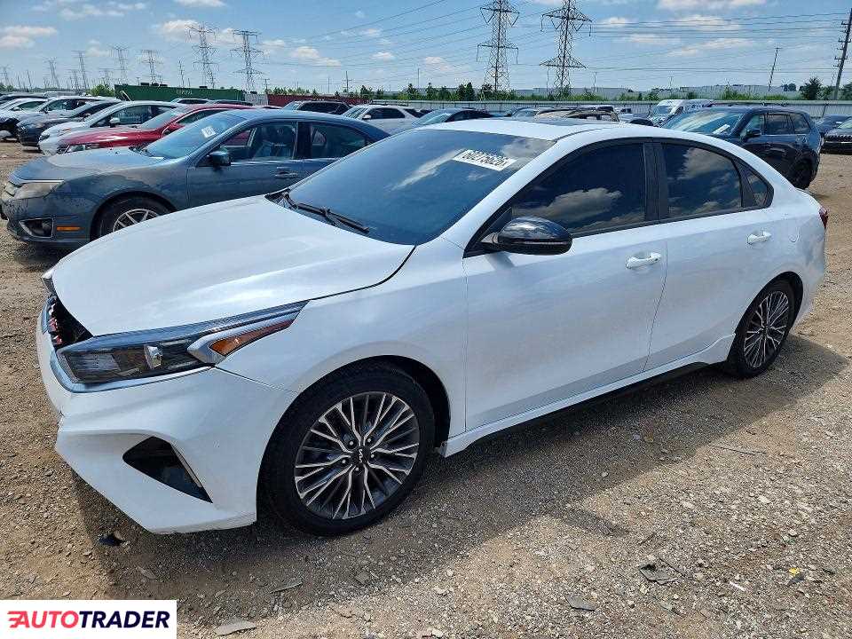 Kia Pozostałe 2024 2