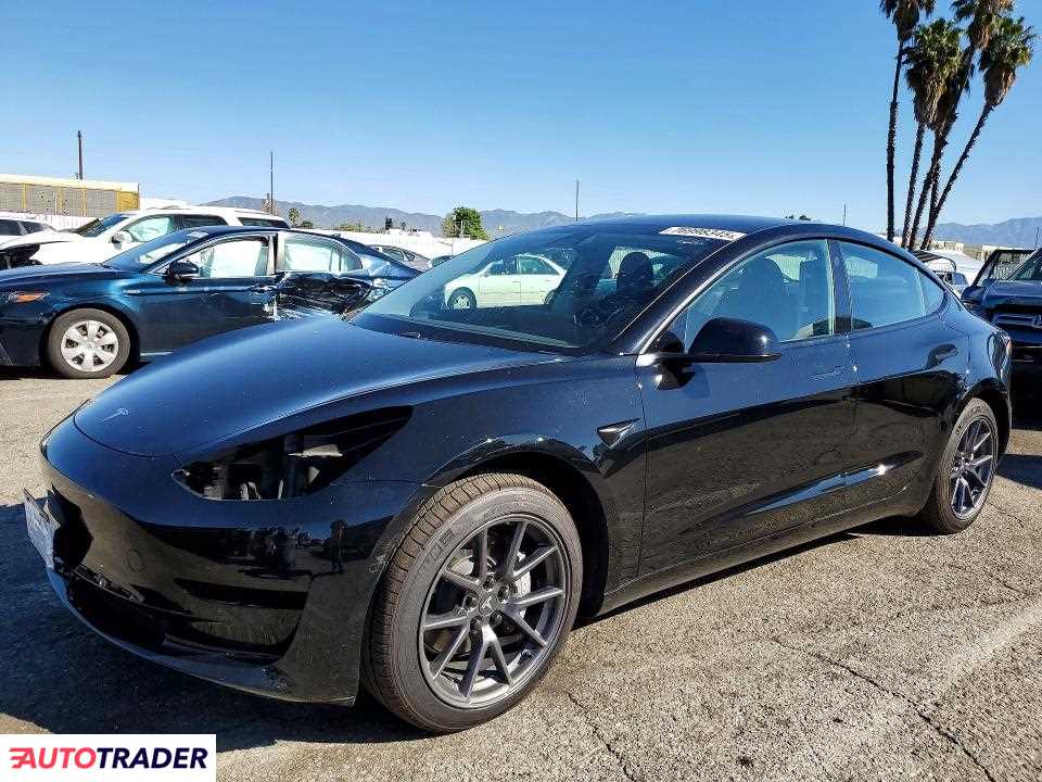 Tesla Model 3 2021