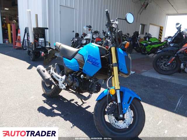 Honda Pozostałe 2025