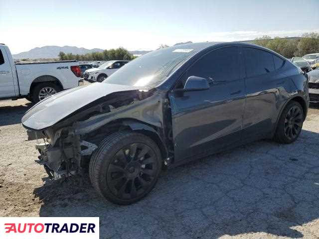 Tesla Model Y 2021 Tesla Model Y 2021
