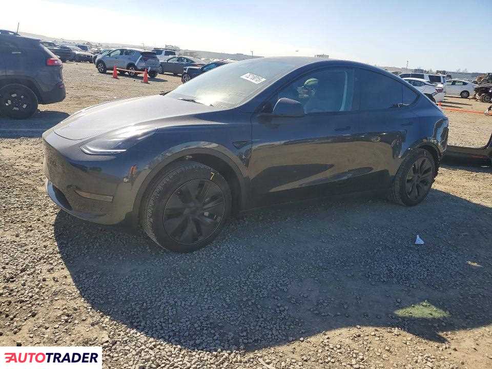 Tesla Model Y 2025