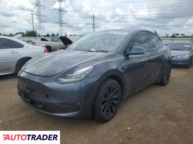 Tesla Model Y 2021