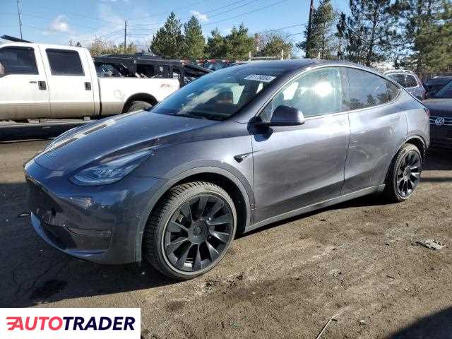 Tesla Model Y 2021