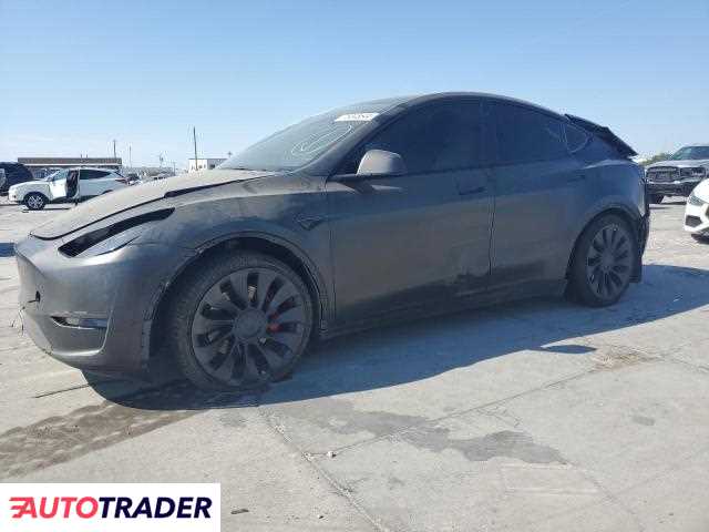 Tesla Model Y 2021