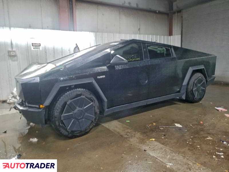 Tesla Pozostałe 2024