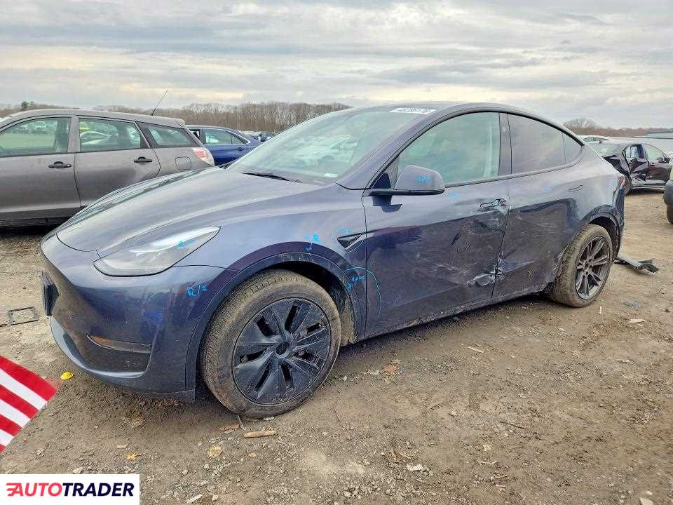 Tesla Model Y 2024