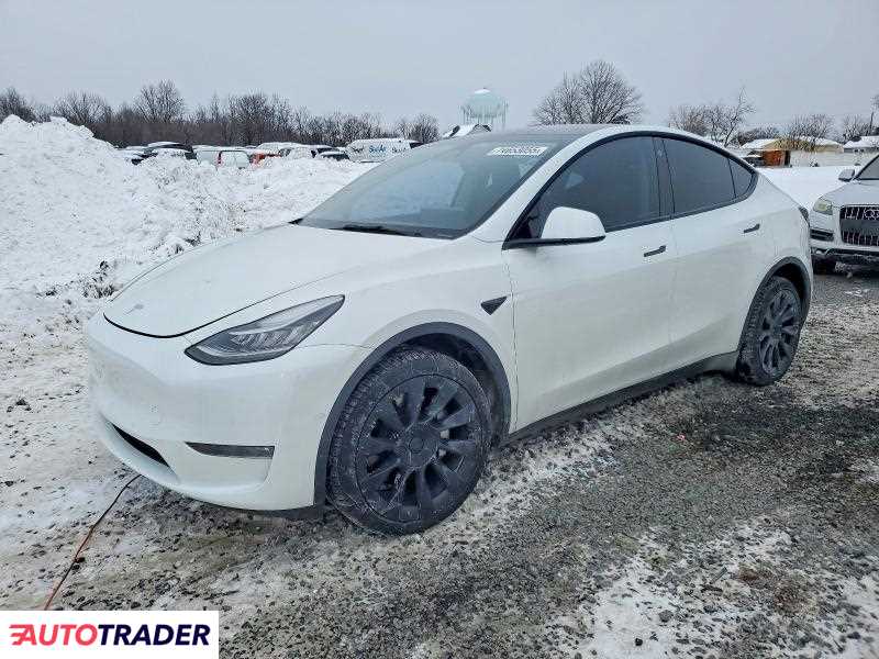 Tesla Model Y 2022