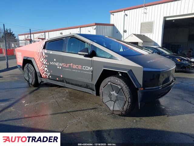 Tesla Pozostałe 2024