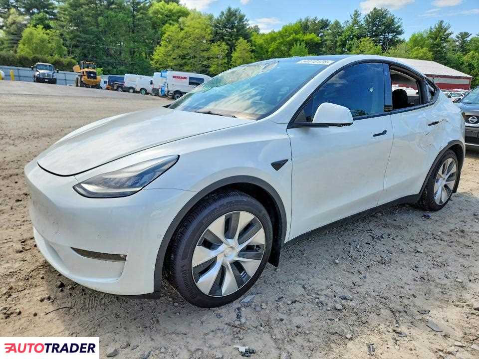 Tesla Model Y 2021