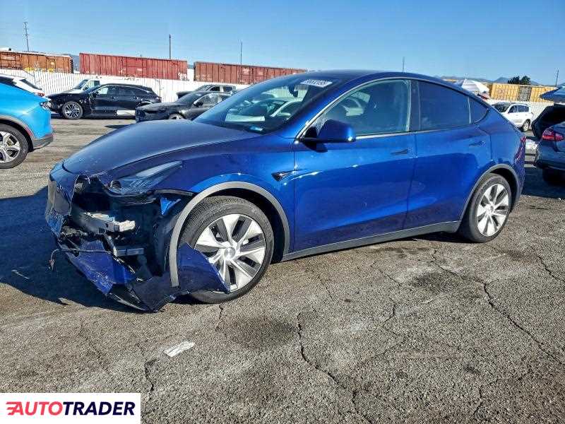 Tesla Model Y 2021