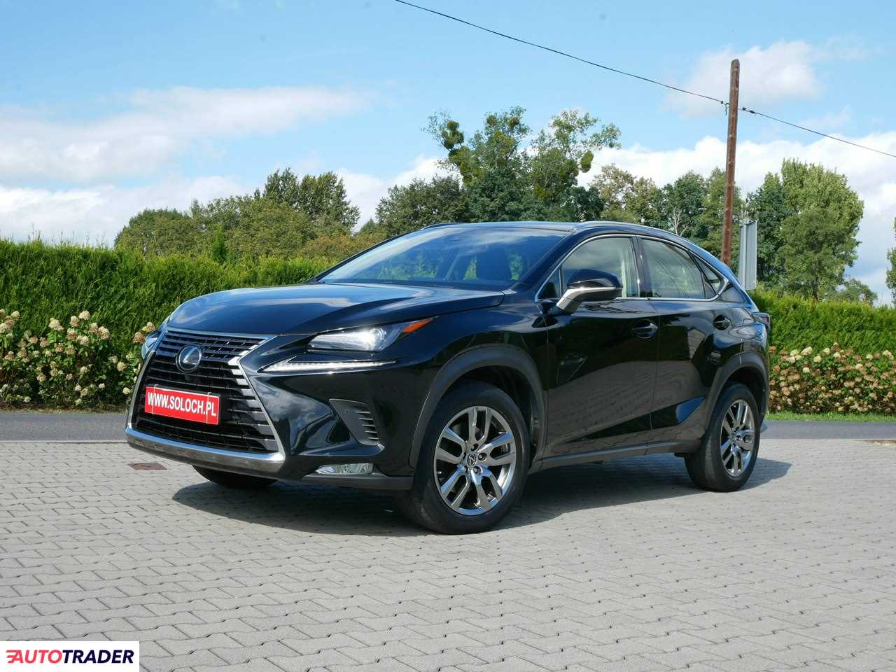Lexus NX 2019 2.0 238 KM Lexus NX 2019 2.0 238 KM