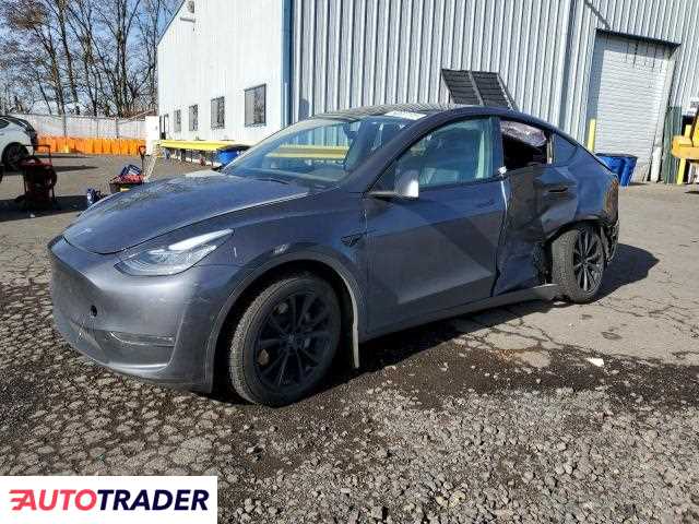 Tesla Model Y 2021