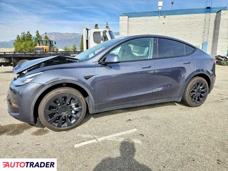 Tesla Model Y 2021