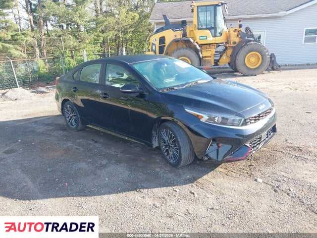 Kia Pozostałe 2024 2