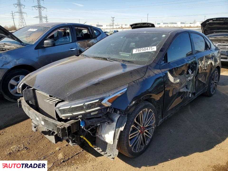 Kia Pozostałe 2024 1