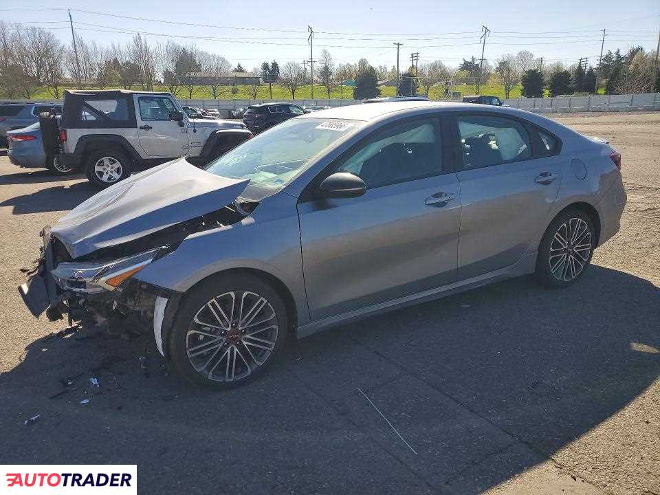 Kia Pozostałe 2024 1