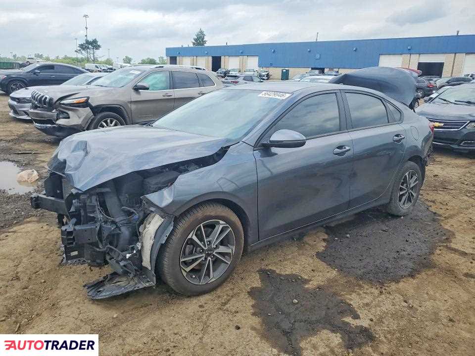 Kia Pozostałe 2022 2