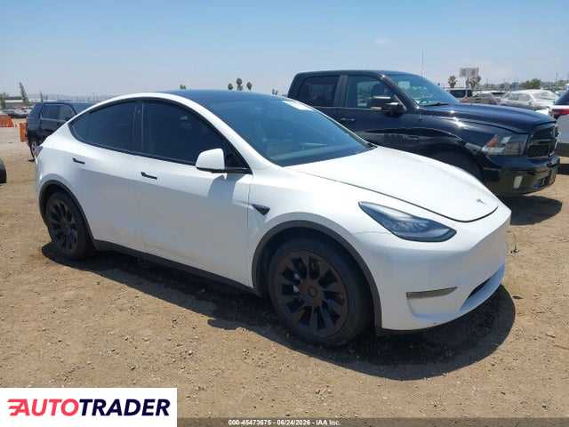 Tesla Model Y 2020