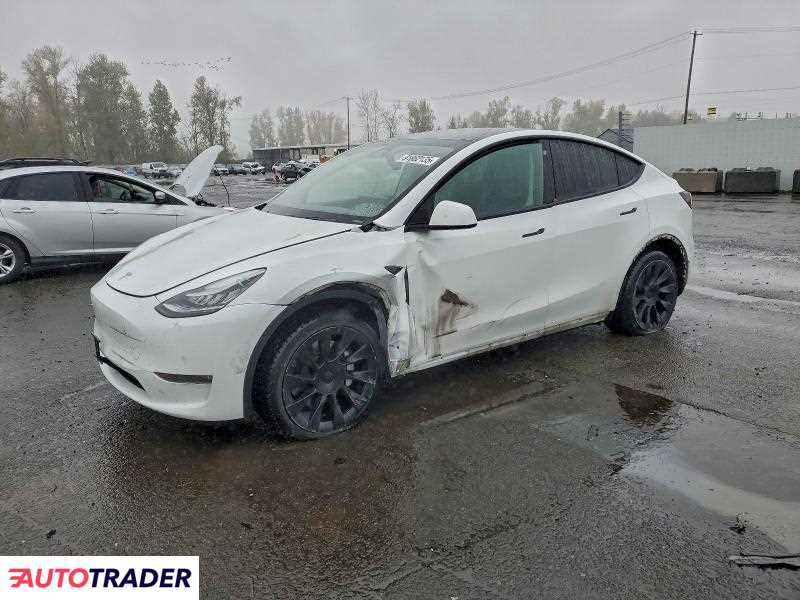Tesla Model Y 2021