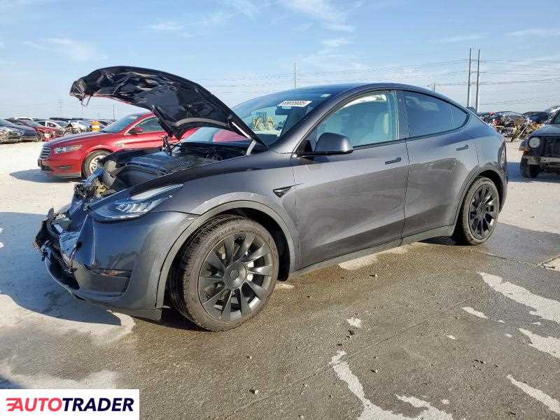 Tesla Model Y 2021 Tesla Model Y 2021
