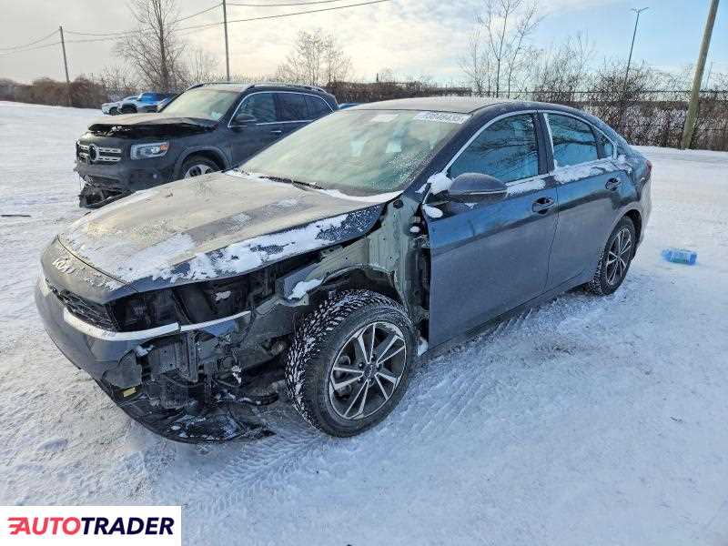 Kia Pozostałe 2024 2