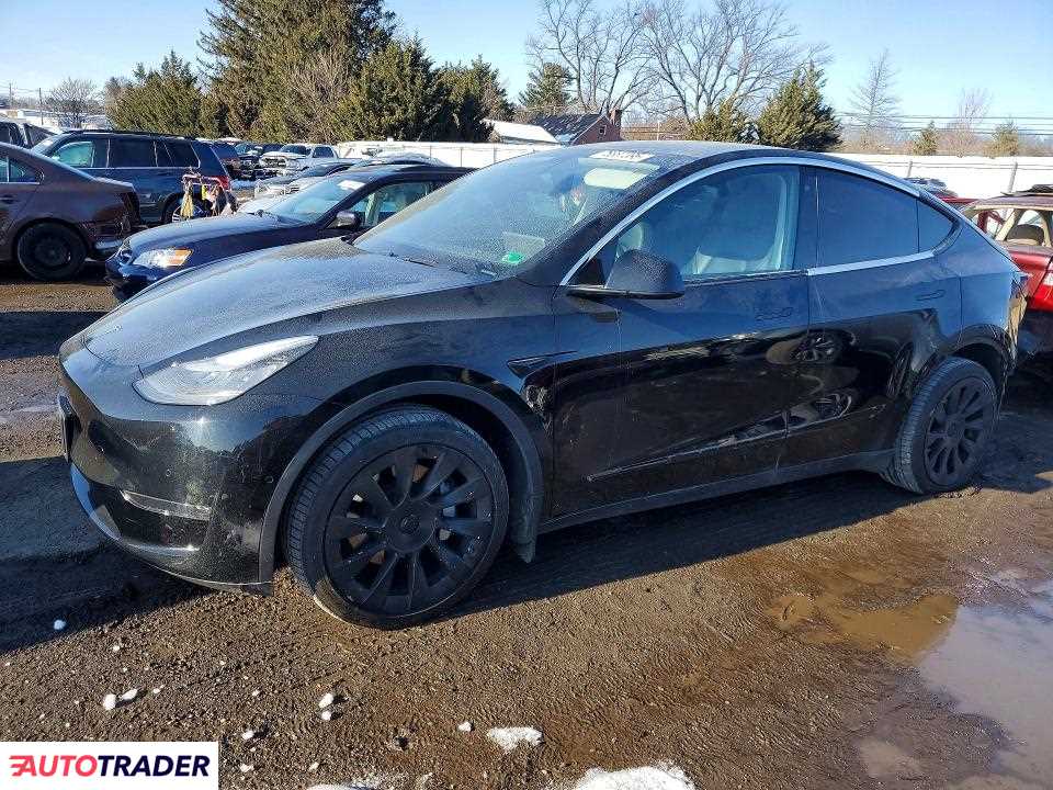 Tesla Model Y 2020