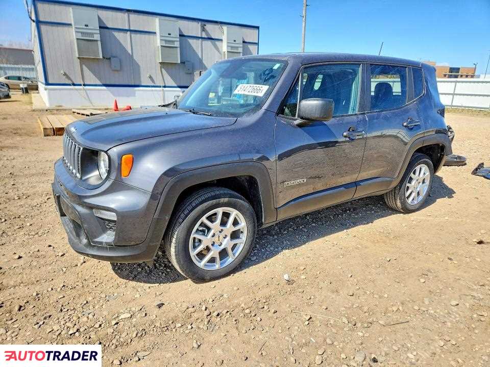 Jeep Renegade 2023 1