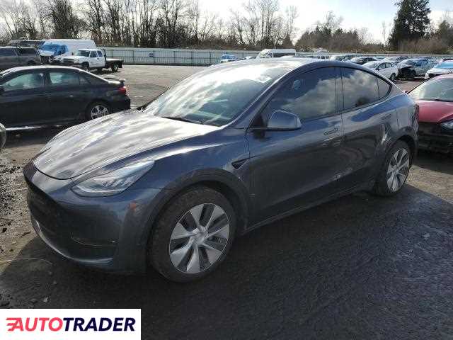 Tesla Model Y 2021 Tesla Model Y 2021