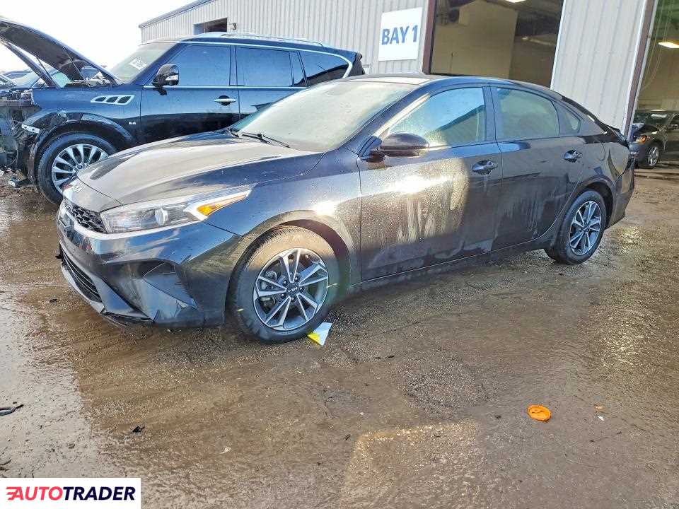 Kia Pozostałe 2024 2